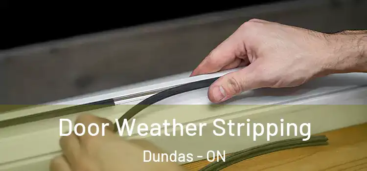  Door Weather Stripping Dundas - ON