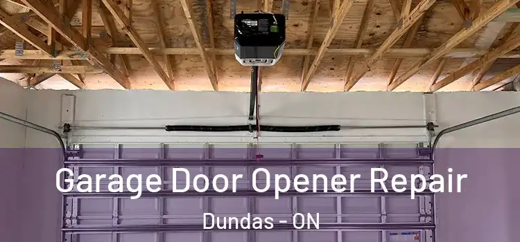  Garage Door Opener Repair Dundas - ON