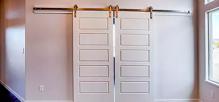 Glass Barn Door with Installation Hardware Kit Dundas